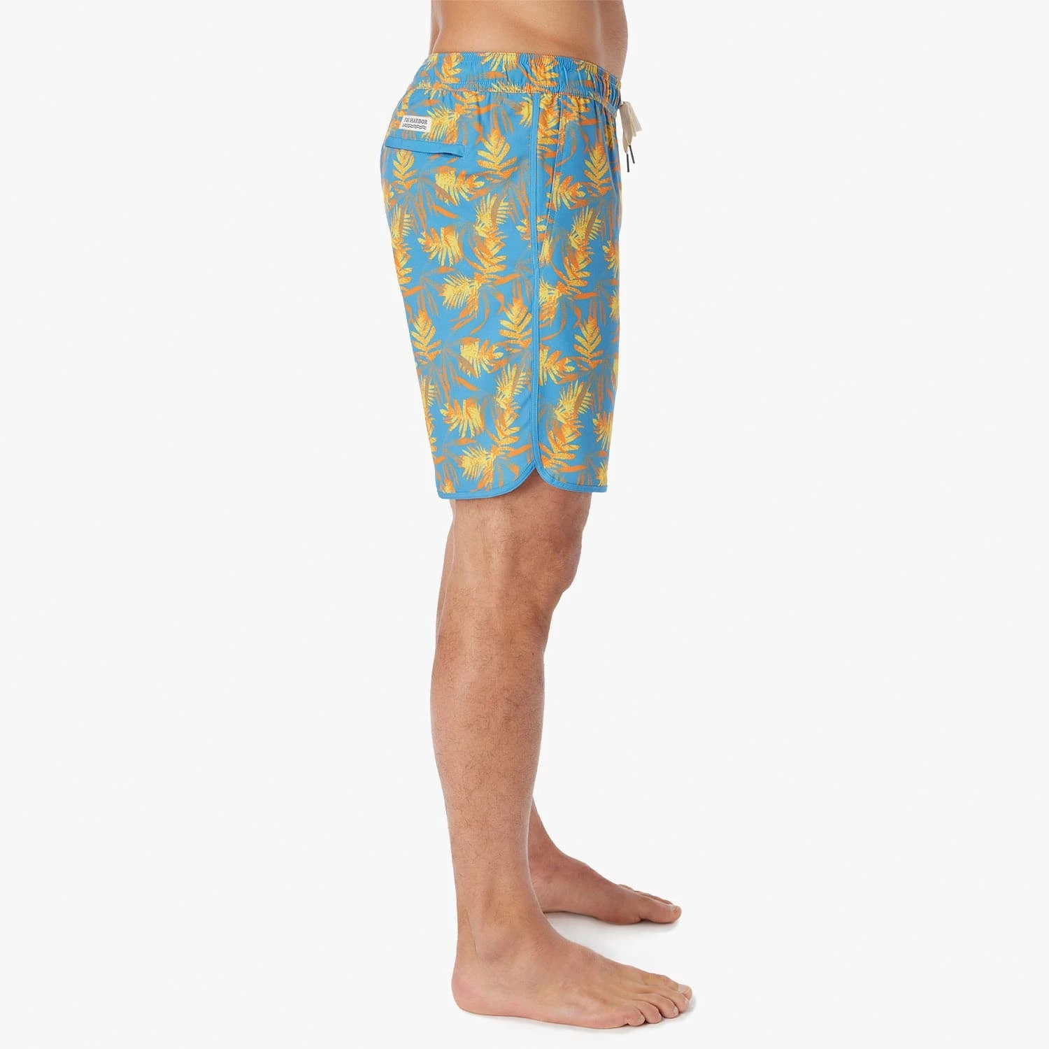 The Anchor | Sundrenched Palms - Image 5