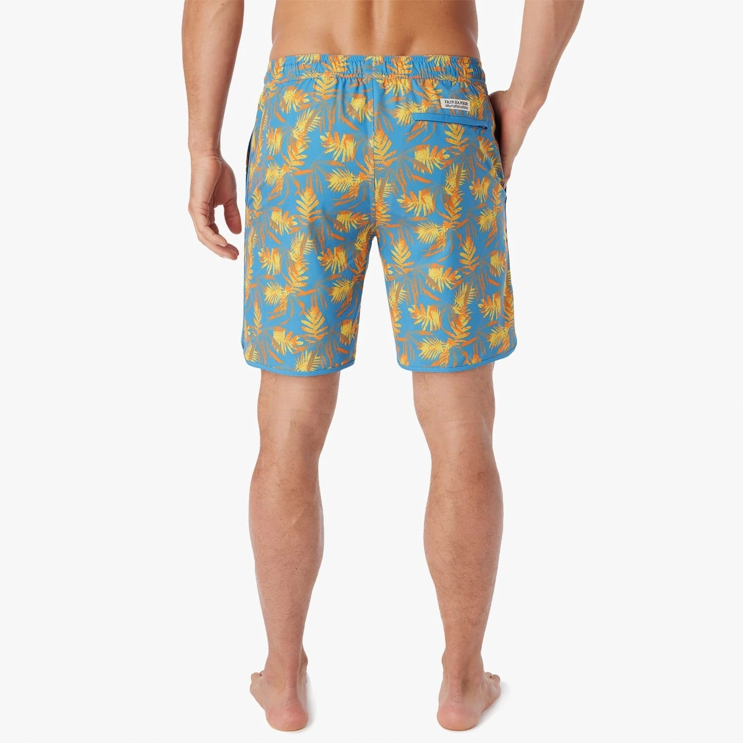 The Anchor | Sundrenched Palms - Image 4