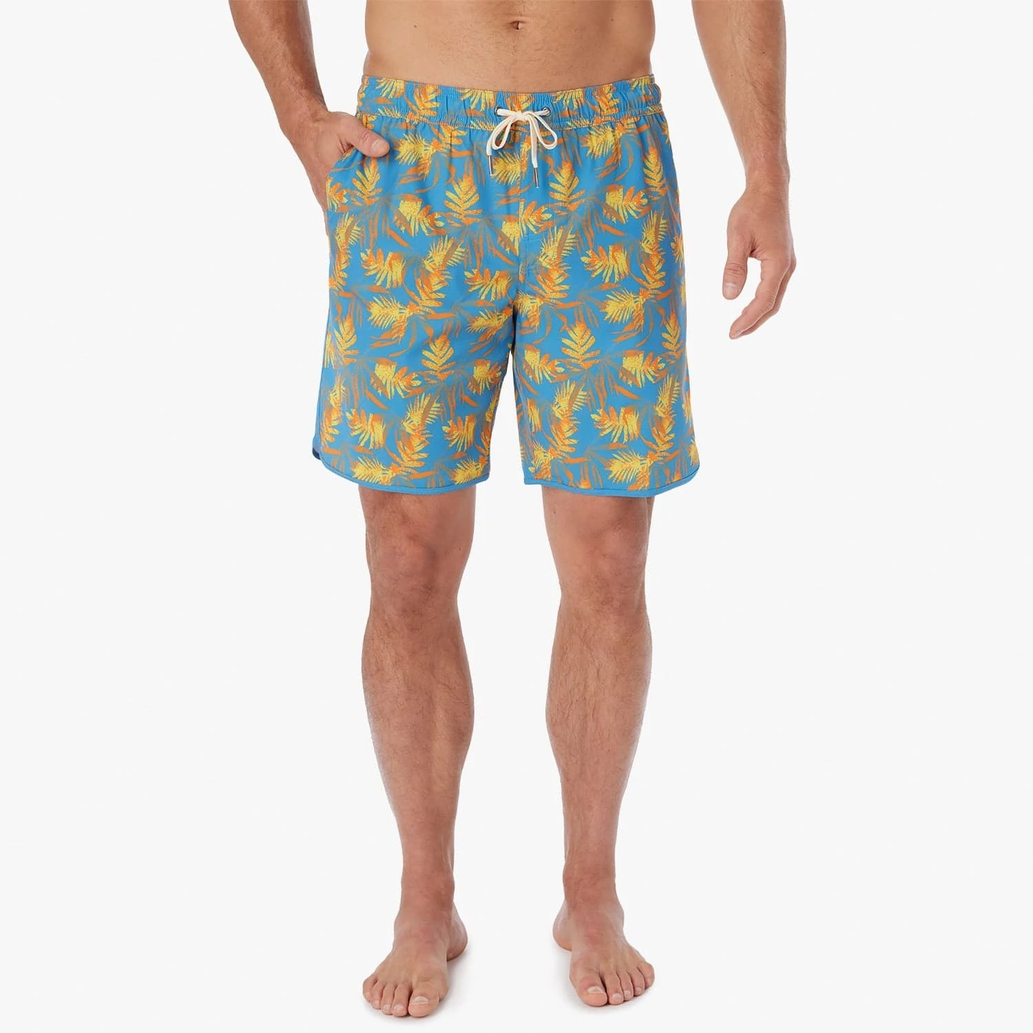 The Anchor | Sundrenched Palms - Image 6