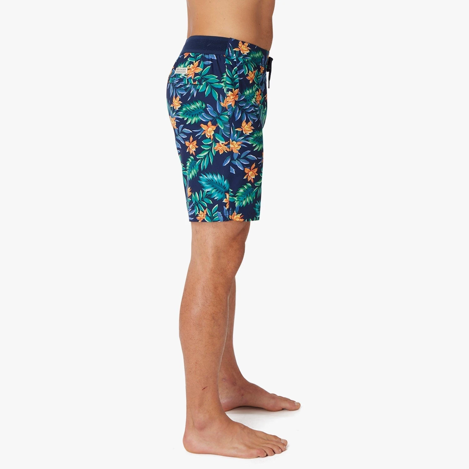 The Ozone | Blue Palms - Image 5